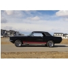 Image 4 : 1967 FORD MUSTANG GTA