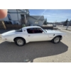 Image 5 : 1979 PONTIAC TRANS AM