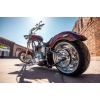 Image 13 : 2007 OCC T-REX SOFTAIL 