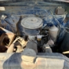 Image 4 : 5 - NO RESERVE 1950 FORD F-135 CAB & CHASSIS DUALLY,HYDRAULIC LIFT