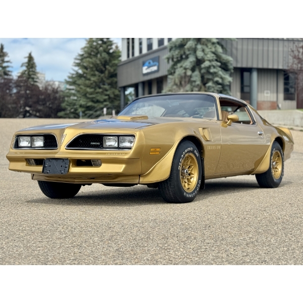 1978 Y88 GOLD SPECIAL EDITION TRANS AM