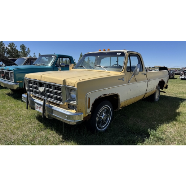 1977 CHEVROLET SILVERADO 10