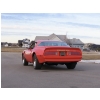 Image 8 : 1976 PONTIAC FIREBIRD TRANS AM 