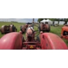 Image 11 : MASSEY-HARRIS 555