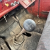 Image 15 :  23 - NO RESERVE 1967 FORD F700 GRAIN TRUCK