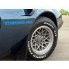 Image 20 : NO RESERVE 1981 PONTIAC TRANS AM
