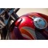 Image 7 : 2007 OCC T-REX SOFTAIL 