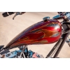 Image 16 : 2007 OCC T-REX SOFTAIL 