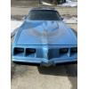 Image 6 : 1981 PONTIAC TRANS AM TURBO