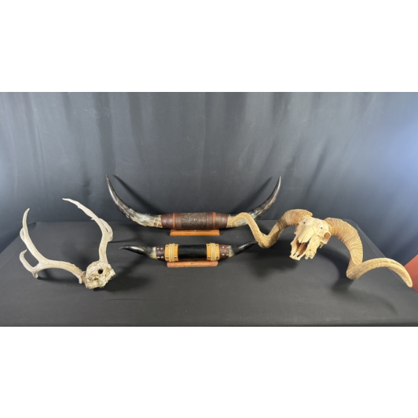 ASSORTED LONGHORN MOUNTS & ANTLERS