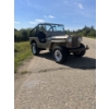 Image 4 : 1948 WILLY'S JEEP