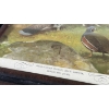 Image 4 : VINTAGE LYNN BOGUE HUNT WILDLIFE PRINTS