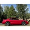 Image 5 : 1996 FORD MUSTANG COBRA SVT