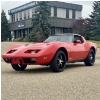 Image 1 : 1979 CHEVROLET CORVETTE